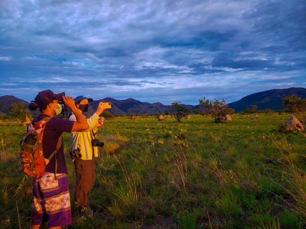 4 Low-Tech Solutions Small Ecotourism Businesses Need to Succeed